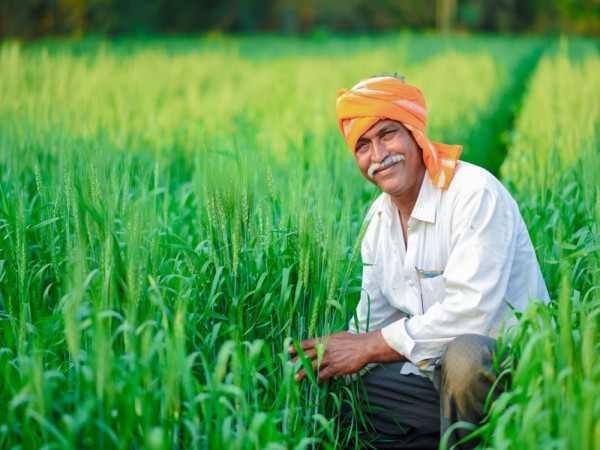 Indian Farmers and European Farmers in hindi